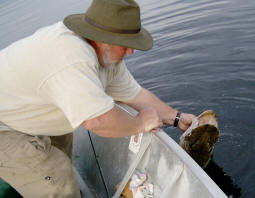 Big Northern Pike - Released!